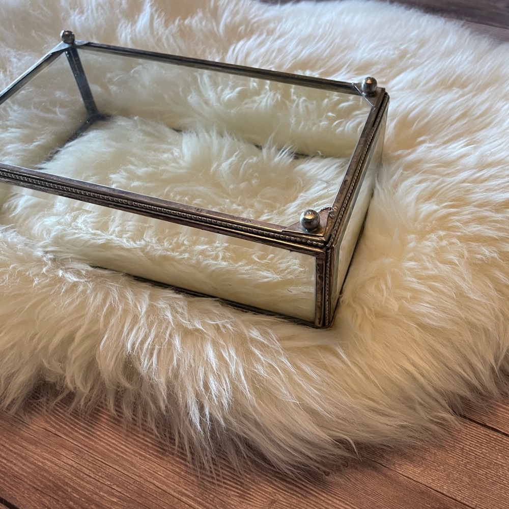 Vintage Pewter and Glass Display Box - Picture 6 of 8